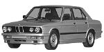BMW E28 U250C Fault Code